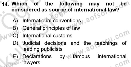 Public International Law 1 Dersi 2024 - 2025 Yılı Yaz Okulu Sınav Soruları 14. Soru