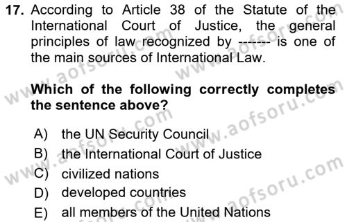 Public International Law 1 Dersi 2024 - 2025 Yılı Yaz Okulu Sınav Soruları 17. Soru