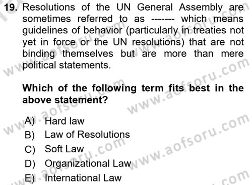 Public International Law 1 Dersi 2024 - 2025 Yılı Yaz Okulu Sınav Soruları 19. Soru