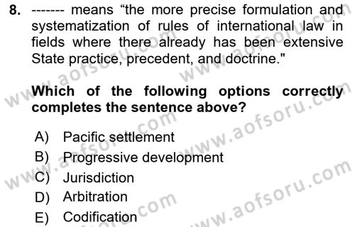 Public International Law 1 Dersi 2024 - 2025 Yılı Yaz Okulu Sınav Soruları 8. Soru