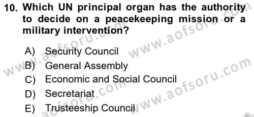 International Security Dersi 2021 - 2022 Yılı (Vize) Ara Sınav Soruları 10. Soru