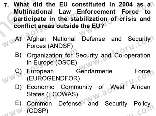 International Security Dersi 2021 - 2022 Yılı (Vize) Ara Sınav Soruları 7. Soru
