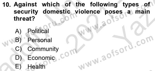 International Security Dersi 2021 - 2022 Yılı Yaz Okulu Sınav Soruları 10. Soru