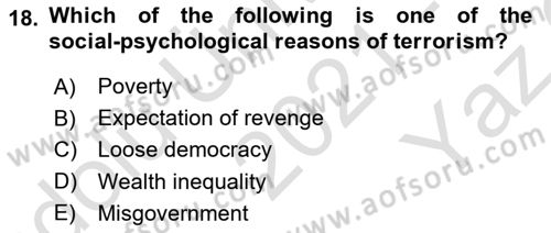 International Security Dersi 2021 - 2022 Yılı Yaz Okulu Sınav Soruları 18. Soru