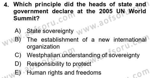 International Security Dersi 2022 - 2023 Yılı Yaz Okulu Sınav Soruları 4. Soru