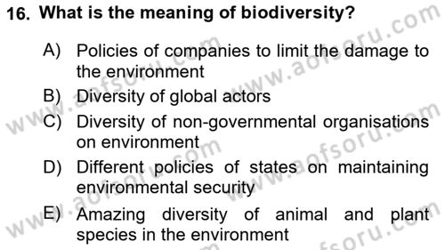 International Security Dersi 2023 - 2024 Yılı Yaz Okulu Sınav Soruları 16. Soru
