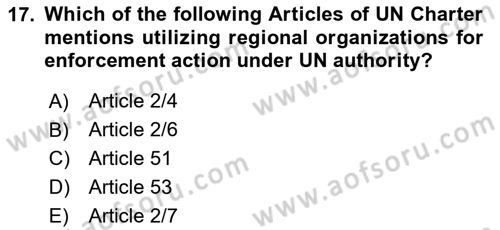 International Security Dersi 2023 - 2024 Yılı Yaz Okulu Sınav Soruları 17. Soru