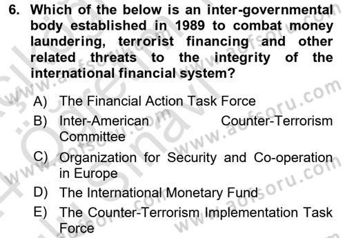 International Security Dersi 2023 - 2024 Yılı Yaz Okulu Sınav Soruları 6. Soru