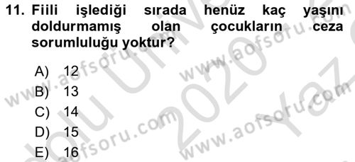 Ceza Hukuku Bilgisi Dersi 2021 - 2022 Yılı Yaz Okulu Sınavı 11. Soru