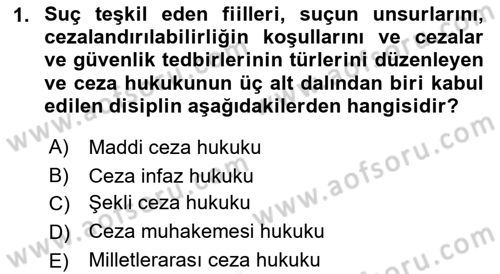 Ceza Hukuku Bilgisi Dersi Ara Sınavı Deneme Sınav Soruları 1. Soru