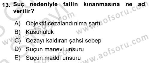 Ceza Hukuku Bilgisi Dersi Ara Sınavı Deneme Sınav Soruları 13. Soru