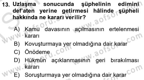 Ceza Hukuku Bilgisi Dersi 2022 - 2023 Yılı (Final) Dönem Sonu Sınav Soruları 13. Soru