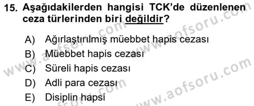Ceza Hukuku Bilgisi Dersi 2022 - 2023 Yılı (Final) Dönem Sonu Sınav Soruları 15. Soru