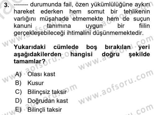Ceza Hukuku Bilgisi Dersi 2022 - 2023 Yılı (Final) Dönem Sonu Sınav Soruları 3. Soru
