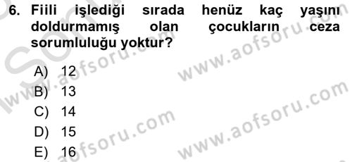 Ceza Hukuku Bilgisi Dersi 2022 - 2023 Yılı (Final) Dönem Sonu Sınav Soruları 6. Soru