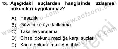 Ceza Hukuku Bilgisi Dersi 2022 - 2023 Yılı Yaz Okulu Sınavı 13. Soru