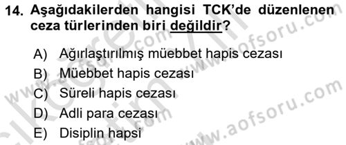 Ceza Hukuku Bilgisi Dersi 2022 - 2023 Yılı Yaz Okulu Sınav Soruları 14. Soru