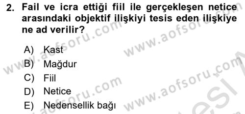 Ceza Hukuku Bilgisi Dersi 2022 - 2023 Yılı Yaz Okulu Sınav Soruları 2. Soru
