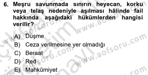 Ceza Hukuku Bilgisi Dersi 2022 - 2023 Yılı Yaz Okulu Sınav Soruları 6. Soru
