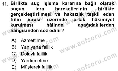 Ceza Hukuku Bilgisi Dersi 2023 - 2024 Yılı (Final) Dönem Sonu Sınav Soruları 11. Soru