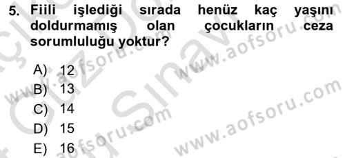 Ceza Hukuku Bilgisi Dersi 2023 - 2024 Yılı (Final) Dönem Sonu Sınav Soruları 5. Soru