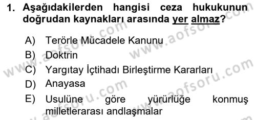 Ceza Hukuku Bilgisi Dersi 2023 - 2024 Yılı Yaz Okulu Sınav Soruları 1. Soru