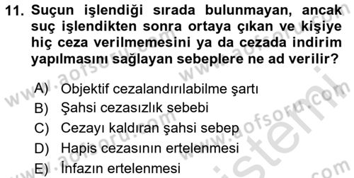 Ceza Hukuku Bilgisi Dersi 2023 - 2024 Yılı Yaz Okulu Sınav Soruları 11. Soru