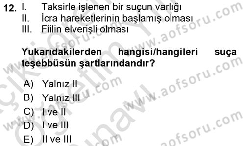 Ceza Hukuku Bilgisi Dersi 2023 - 2024 Yılı Yaz Okulu Sınav Soruları 12. Soru