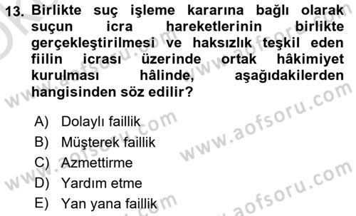 Ceza Hukuku Bilgisi Dersi 2023 - 2024 Yılı Yaz Okulu Sınav Soruları 13. Soru