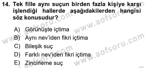 Ceza Hukuku Bilgisi Dersi 2023 - 2024 Yılı Yaz Okulu Sınav Soruları 14. Soru