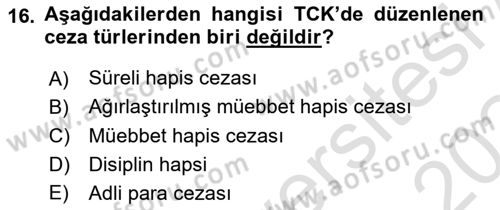 Ceza Hukuku Bilgisi Dersi 2023 - 2024 Yılı Yaz Okulu Sınav Soruları 16. Soru