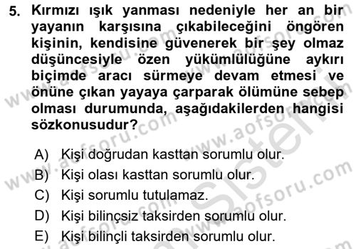 Ceza Hukuku Bilgisi Dersi 2023 - 2024 Yılı Yaz Okulu Sınav Soruları 5. Soru