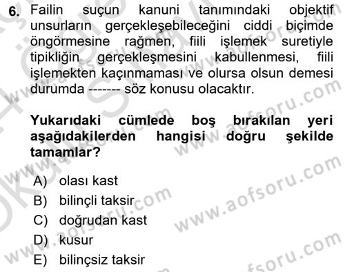 Ceza Hukuku Bilgisi Dersi 2023 - 2024 Yılı Yaz Okulu Sınav Soruları 6. Soru