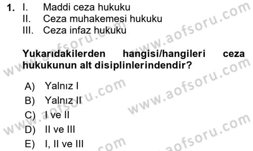 Ceza Hukuku Bilgisi Dersi 2024 - 2025 Yılı (Vize) Ara Sınav Soruları 1. Soru
