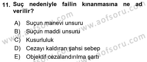 Ceza Hukuku Bilgisi Dersi 2024 - 2025 Yılı (Vize) Ara Sınav Soruları 11. Soru