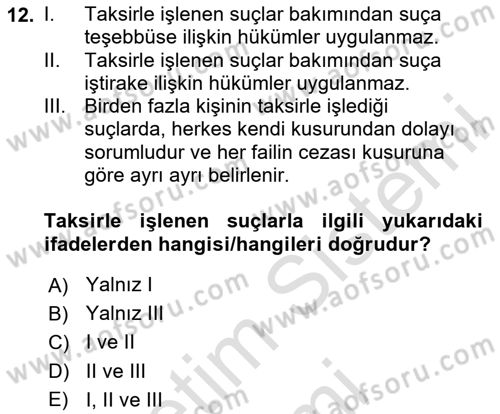 Ceza Hukuku Bilgisi Dersi 2024 - 2025 Yılı (Vize) Ara Sınav Soruları 12. Soru