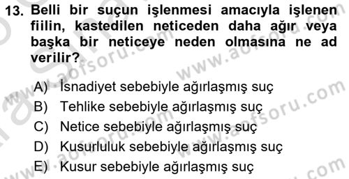 Ceza Hukuku Bilgisi Dersi 2024 - 2025 Yılı (Vize) Ara Sınav Soruları 13. Soru