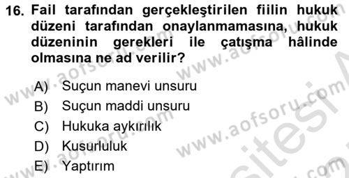 Ceza Hukuku Bilgisi Dersi 2024 - 2025 Yılı (Vize) Ara Sınav Soruları 16. Soru
