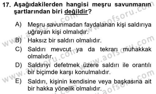 Ceza Hukuku Bilgisi Dersi 2024 - 2025 Yılı (Vize) Ara Sınav Soruları 17. Soru