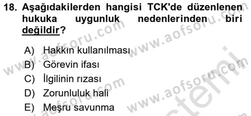 Ceza Hukuku Bilgisi Dersi 2024 - 2025 Yılı (Vize) Ara Sınav Soruları 18. Soru