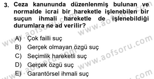 Ceza Hukuku Bilgisi Dersi 2024 - 2025 Yılı (Vize) Ara Sınav Soruları 3. Soru