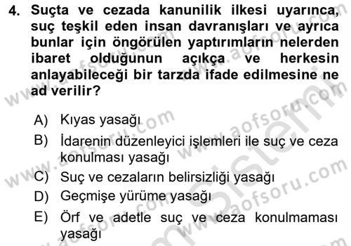 Ceza Hukuku Bilgisi Dersi 2024 - 2025 Yılı (Vize) Ara Sınav Soruları 4. Soru