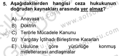 Ceza Hukuku Bilgisi Dersi 2024 - 2025 Yılı (Vize) Ara Sınav Soruları 5. Soru