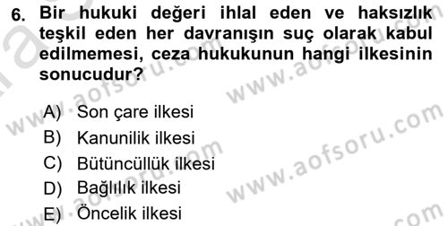 Ceza Hukuku Bilgisi Dersi 2024 - 2025 Yılı (Vize) Ara Sınav Soruları 6. Soru