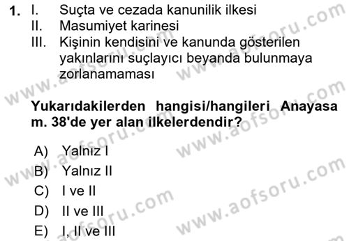 Ceza Hukuku Bilgisi Dersi 2024 - 2025 Yılı (Final) Dönem Sonu Sınav Soruları 1. Soru
