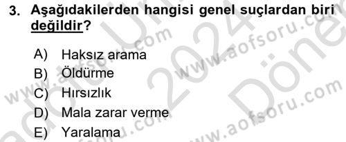 Ceza Hukuku Bilgisi Dersi 2024 - 2025 Yılı (Final) Dönem Sonu Sınav Soruları 3. Soru