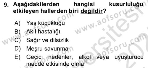 Ceza Hukuku Bilgisi Dersi 2024 - 2025 Yılı (Final) Dönem Sonu Sınav Soruları 9. Soru