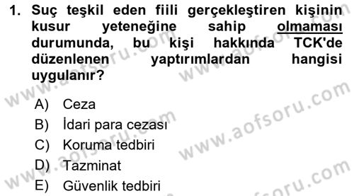 Ceza Hukuku Bilgisi Dersi 2024 - 2025 Yılı Yaz Okulu Sınav Soruları 1. Soru