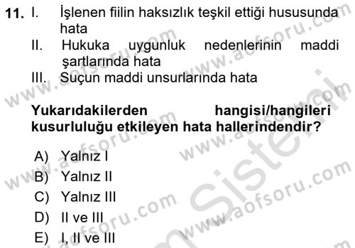 Ceza Hukuku Bilgisi Dersi 2024 - 2025 Yılı Yaz Okulu Sınav Soruları 11. Soru