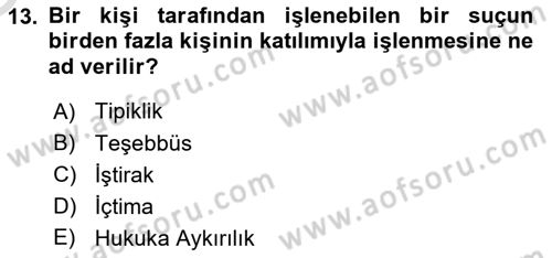 Ceza Hukuku Bilgisi Dersi 2024 - 2025 Yılı Yaz Okulu Sınav Soruları 13. Soru
